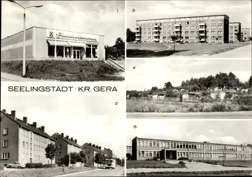 Ak Seelingstädt Thüringen, Konsum Einkaufszentrum, Otto Grotewohl Schule, Kleingartenanlage