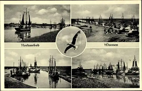 Ak Nordseebad Wremen Wurster Nordseeküste, Möwe, Hafen, Fischerboote