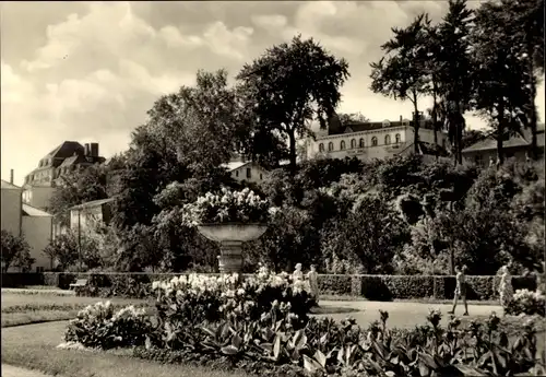 Ak Ostseebad Heringsdorf auf Usedom, Park