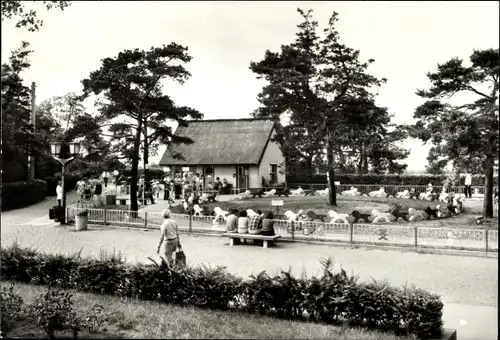 Ak Ostseebad Zinnowitz Usedom, Kindersportgarten