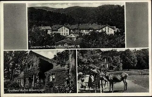 Ak Dubí Eichwald Reg. Aussig, Sanatorium Theresienbad, Forsthaus Kaffee Schweissjäger, Tuppelburg