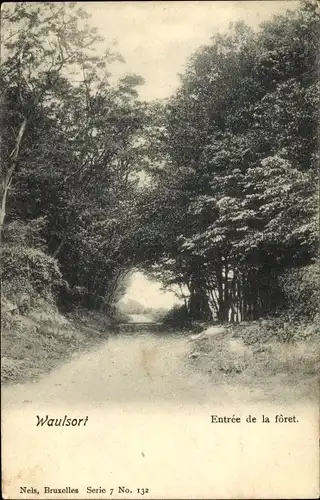 Ak Waulsort Hastière Wallonie Namur, Eingang zum Wald