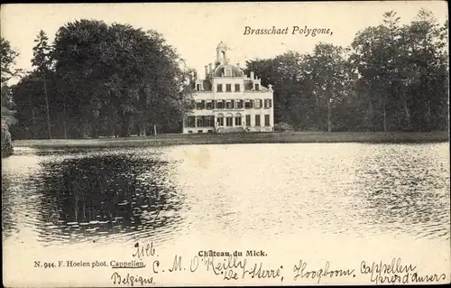 Ak Brasschaet Polygone Brasschaat Flandern Antwerpen, Chateau du Mick