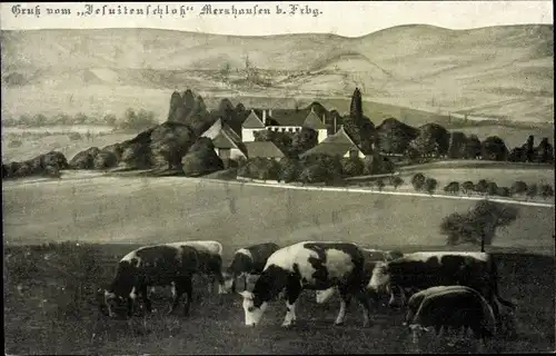 Ak Merzhausen im Breisgau, Jesuitenschloss, Panorama, Kuhweide