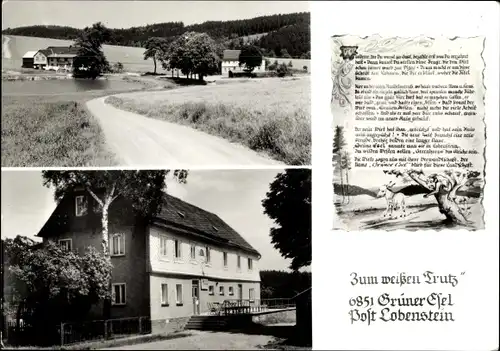 Ak Schönbrunn Ebersdorf in Thüringen, Grüner Esel, Gasthaus Zum weißen Trutz