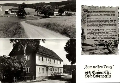 Ak Schönbrunn Ebersdorf in Thüringen, Grüner Esel, Gasthaus Zum weißen Trutz, Gedicht