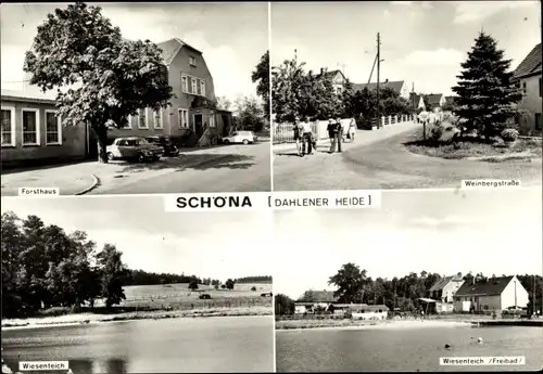 Ak Schöna Cavertitz in Sachsen, Forsthaus, Wiesenteich, Freibad, Weinbergstraße