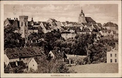 Ak Ronneburg in Thüringen, Totalansicht