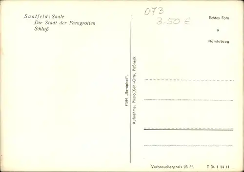 Ak Saalfeld an der Saale Thüringen, Schloss