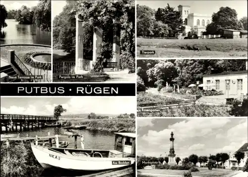 Ak Putbus auf der Insel Rügen, Neue Terrasse im Park, Tierpark, Pergola, Rosengarten, Am Bodden