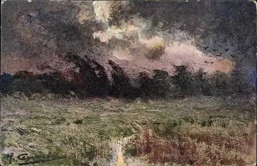 Künstler Ak Gemaltes Bild, Unwetter, Unruhe, Wald, Wiese, Vögel im Flug