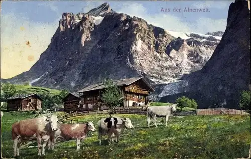 Ak Aus der Alpenwelt, Bauer, Kühe, Wiese, Wohnhäuser, Berggipfel