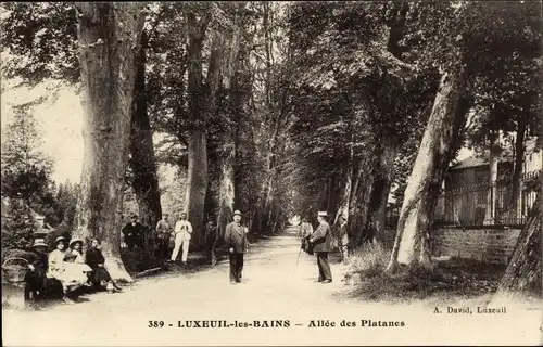 Ak Luxeuil les Bains Haute Saône, Allee des Plantanes