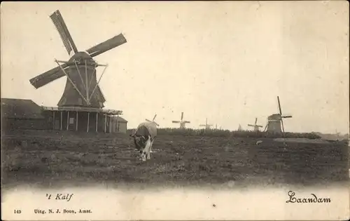 Ak Zaandam Zaanstad Nordholland, 'T Kalf, Windmühlen