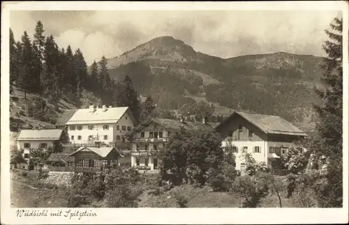 Ak Wildbichl Tirol, Ortsansicht mit Spitzstein
