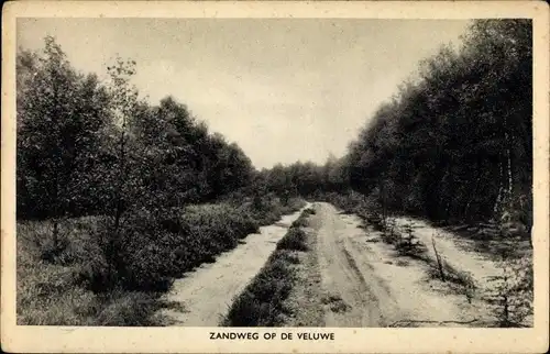 Ak Gelderland, Zandweg op de Veluwe