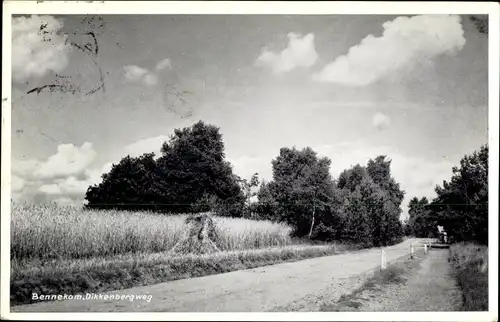 Ak Bennekom Gelderland, Dikkenbergweg