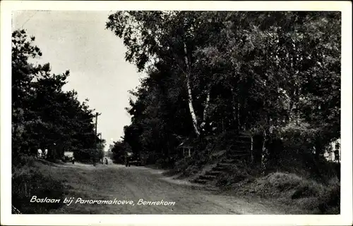 Ak Bennekom Gelderland, Boslaan bij Panoramahoeve