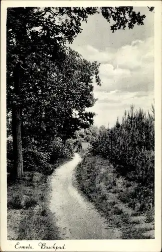 Ak Ermelo Gelderland, Boschpad