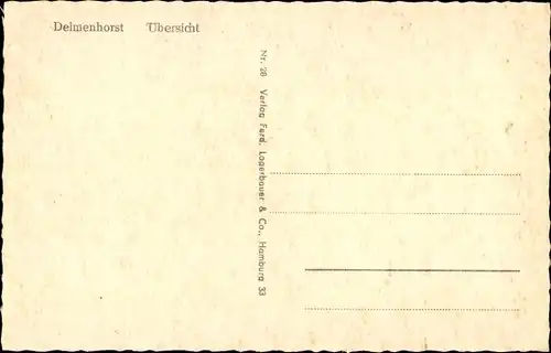 Ak Delmenhorst in Niedersachsen, Stadtübersicht