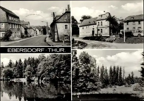 Ak Ebersdorf in Thüringen, Lobensteiner Straße, Schulhort, Schwanenteich im Park, Park