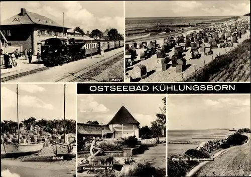 Ak Ostseebad Kühlungsborn, Bahnhof, Molli, Strand, Konzertgarten Ost, Weg nach Heiligendamm