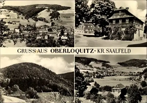 Ak Oberloquitz Probstzella in Thüringen, Druidenkuppe, Panorama, Teilansicht