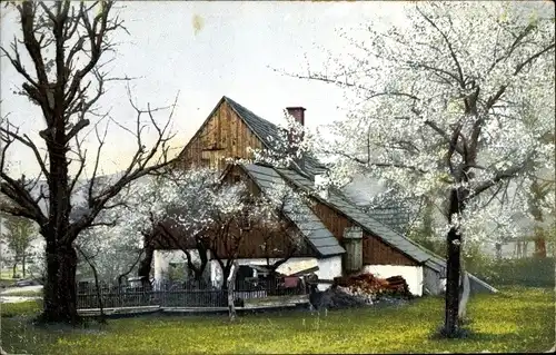 Ak Bauernhaus und Blütenbäume im Frühling