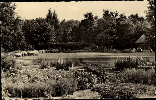 Ak Cottbus in der Niederlausitz, Blechenpark