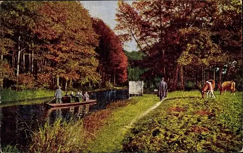 Ak Leipe Lübbenau im Spreewald, Im Hochwald bei Eiche, weidende Kühe, Spreewaldkahn, Spaziergänger