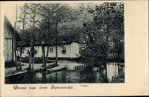 Ak Leipe Lübbenau im Spreewald, Uferpartie, Leipe, Wald, Boot