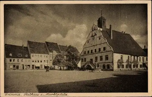 Ak Grimma in Sachsen, Rathaus und Marktplatz, Brunnen