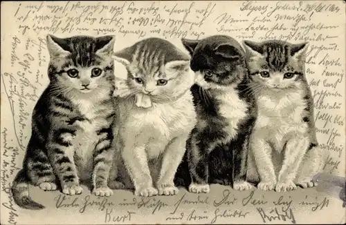 Präge Litho Vier kleine Katzen, Tierportrait