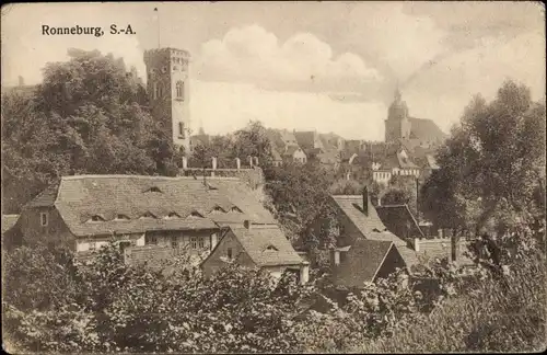 Ak Ronneburg in Thüringen, Schloss