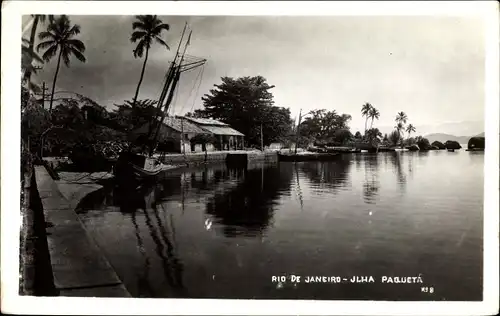 Ak Insel Paqueta Rio de Janeiro Brasilien, Wohnhaus am Wasser, Palmen