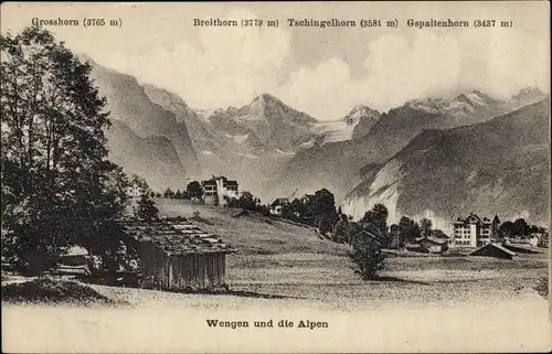 Ak Wengen Kanton Bern, Die Alpen, Breithorn, Tschingelhorn, Gspaltenhorn