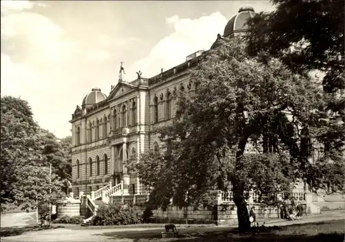 Ak Altenburg in Thüringen, Staatliches Lindenau-Museum