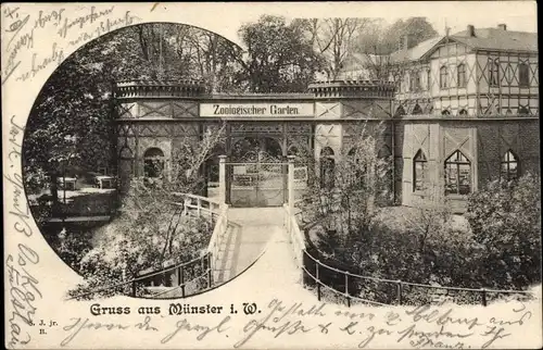 Ak Münster in Westfalen, Zoologischer Garten