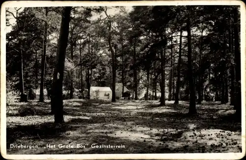 Ak Driebergen Utrecht Niederlande, Het Grote Bos, Gezinsterrein