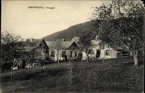 Ak Ursprung Vosges, Teilansicht