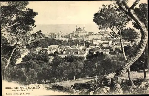Ak Monte-Carlo Monaco, Zwischen den Pinien