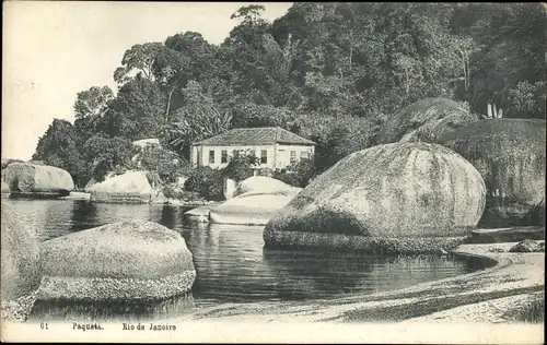 Ak Insel Paqueta Rio de Janeiro Brasilien, Wohnhaus am Wasser, Palmen