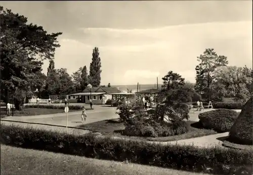 Ak Ostseebad Heringsdorf auf Usedom, Parkanlage