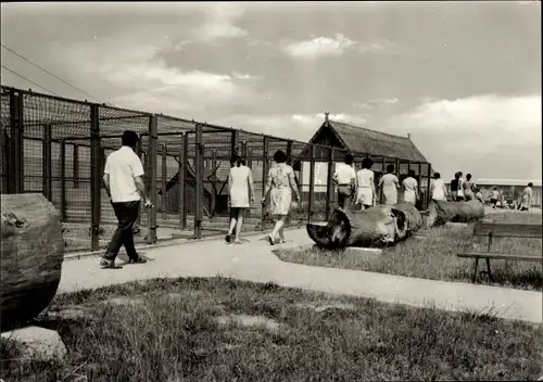 Ak Groß Stieten in Mecklenburg, VEG Tierzucht, Gaststätte Mecklenburger Mühle, Tiergehege