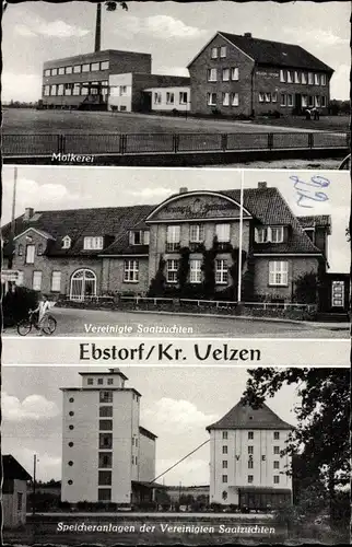 Ak Ebstorf in der Lüneburger Heide, Molkerei, Vereinigte Saatzuchten