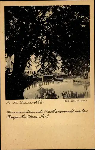 Ak Uelzen in Niedersachsen, An der Außenmühle, Teich