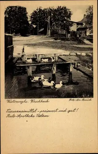 Ak Westerweyhe Uelzen in Niedersachsen, Blick auf die Waschbank, Reklame Ratsapotheke