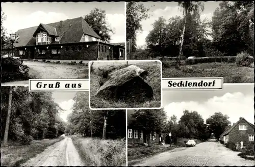 Ak Secklendorf Altenmedingen in der Lüneburger Heide, Im Wald, Straßenpartie