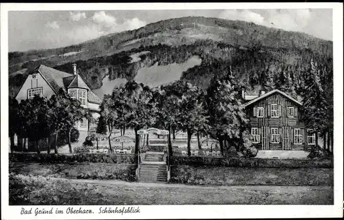 Ak Bad Grund im Harz, Hotel-Pension Schönhofsblick