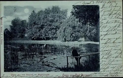 Mondschein Ak Bad Pyrmont in Niedersachsen, Partie aus dem Kurpark am Goldfischteich